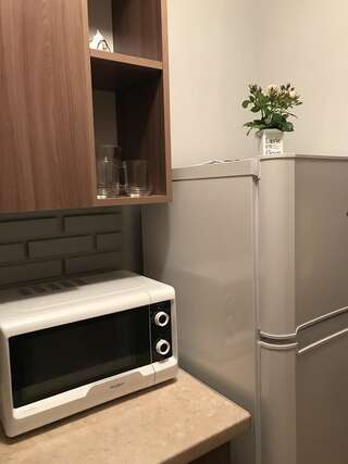 Апартаменты Iren Smart Apartment Львов Апартаменты с 1 спальней-4